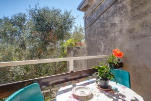 Fotografie z fotogalerie ubytování Apartment Mali Losinj 7942a v destinaci Mali Lošinj + 28 fotografií