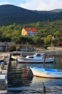 Fotografie z fotogalerie ubytování Apartments by the sea Kneza, Korcula - 9164 v destinaci Pupnat