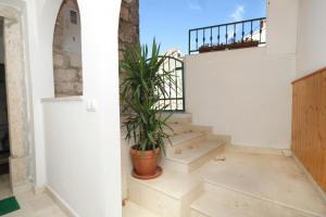 Fotografie z fotogalerie ubytování Apartments with WiFi Zrnovo, Korcula - 9214 v destinaci Korčula