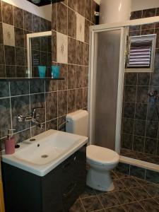 une salle de bains avec toilettes et lavabo dans l'établissement Apartments by the sea Kneza, Korcula - 9185, à Račišće