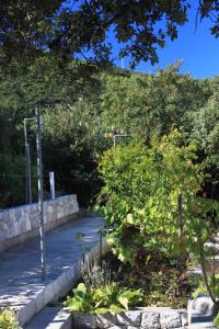 Zahrada ubytování Apartments with parking spaces Zrnovska Banja, Korcula - 9226