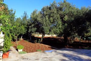 Fotografie z fotogalerie ubytování Apartments with a parking space Lumbarda, Korcula - 9298 v destinaci Lumbarda
