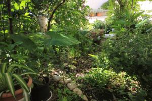 Gallery image of Apartments by the sea Novalja, Pag - 9284 in Novalja