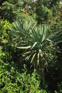Gallery image of Apartments by the sea Novalja, Pag - 9284 in Novalja