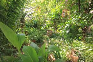 Gallery image of Apartments by the sea Novalja, Pag - 9284 in Novalja