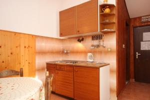Kuchyň nebo kuchyňský kout v ubytování Apartment Prizba 9227c