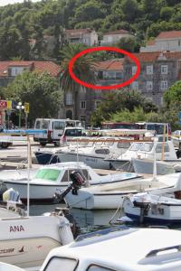 Fotografia z galérie ubytovania Apartments by the sea Korcula - 9217 na Korčuli