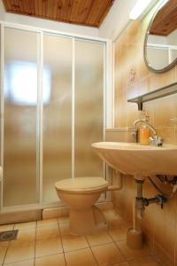 un bagno con doccia, WC e lavandino di Rooms with a parking space Lumbarda, Korcula - 9299 a Lumbarda (Lombarda)