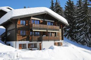 Chalet Trollius v zimě
