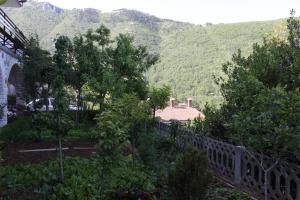 Príroda v okolí apartmánu