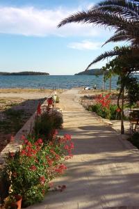 a path along the beach with flowers and a palm tree at Apartments by the sea Krapanj, Sibenik - 9258 in Brodarica