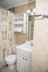 a bathroom with a toilet and a sink and a shower at Stroll to Slopes, Village Area, Ski in-out MtLodge 269 in Snowshoe
