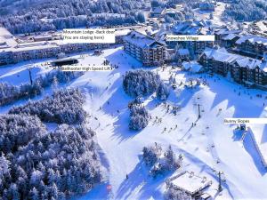 Stroll to Slopes, Village Area, Ski in-out MtLodge 269 v zimě