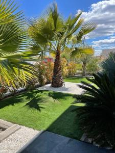 eine Palme inmitten eines Gartens in der Unterkunft Villa Maïa in Saint-Gély-du-Fesc