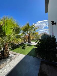 einen Garten mit Palmen und ein Gebäude in der Unterkunft Villa Maïa in Saint-Gély-du-Fesc