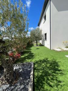 uma árvore num quintal ao lado de um edifício branco em Villa Maïa em Saint-Gély-du-Fesc