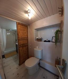 a small bathroom with a toilet and a shower at Maison Mon p’tit bonheur in Changey