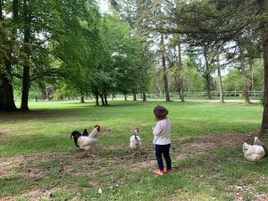 Ein kleines Mädchen, das Hühner im Park ansieht. in der Unterkunft Domaine de La Charmille in Ermenonville