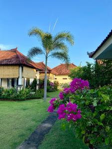 a palm tree next to a house with purple flowers at Wonder Dive Bali Tulamben Villa's in Tulamben