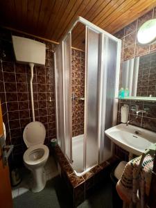 La salle de bains est pourvue d'une douche, de toilettes et d'un lavabo. dans l'établissement Restaurace a penzion Na Růžku, à Mořina