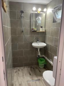 La salle de bains est pourvue d'un lavabo, d'une douche et de toilettes. dans l'établissement Vila Masco, à Costinesti