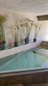 a swimming pool with potted plants on a wall at Azenhas do Mar Valley House in Sintra