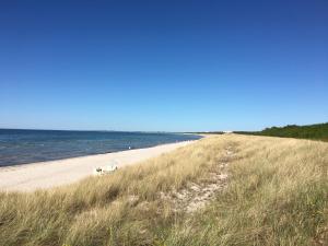 una spiaggia con persone sedute sulla sabbia e sull'acqua di FEWO-Kramm Ostseebad Dierhagen a Dierhagen