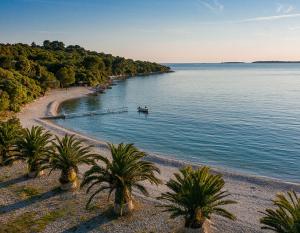 plaża z palmami i łódź w wodzie w obiekcie Apartment Punta w Puli