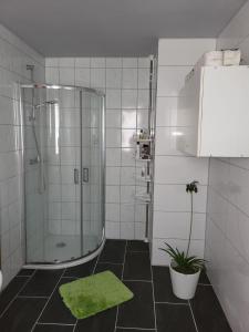 a bathroom with a shower and a green rug at Land,Wald und Wiese in Jürgenstorf