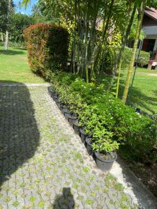 Zahrada ubytování Sean Sabai Home e Ristobar
