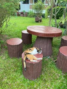 Zahrada ubytování Sean Sabai Home e Ristobar