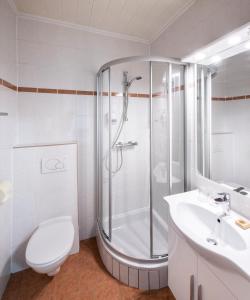 uma casa de banho com um chuveiro, um WC e um lavatório. em Hotel Altneudörflerhof em Bad Radkersburg