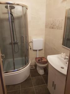 een badkamer met een douche, een toilet en een wastafel bij Apartmani Ferdi in Trogir