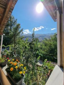 einen Balkon mit Blick auf einen Garten mit Blumen in der Unterkunft B Vishe Guest House in Gjirokastër