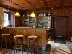 Goldener Adler酒廊或酒吧区
