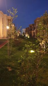 un cortile con due alberi nell'erba di notte di KERUEN SARAY APARTMENTS 6/2 a Türkistan