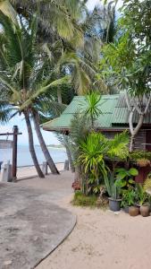 un edificio en una playa con palmeras y el océano en Beer's House Bungalows เบียร์เฮ้าส์บังกะโล, en Ban Lamai