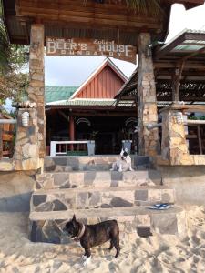 a dog standing in the sand in front of a building at Beer's House Bungalows เบียร์เฮ้าส์บังกะโล in Ban Lamai