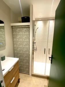 a bathroom with a shower and a white sink at Superbe appartement vue sur la forêt in Les Angles