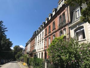 a row of houses on a street with flowers at Calme Lumineux Spacieux Accueillant in Mulhouse