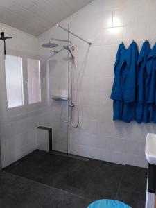 a bathroom with a glass shower with a sink at Strandurlaub am Felsenmeer in Modautal