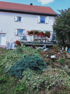 a house with a balcony with red flowers on it at Gîte LES PAPILLONS in Bining-lès-Rohrbach