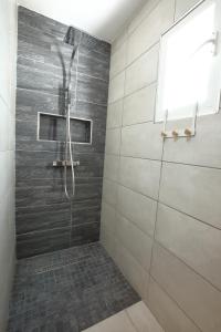 ein Bad mit einer Dusche und einer Glastür in der Unterkunft Villa Pitaya in Le Tampon