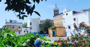 Blick auf eine Stadt mit weißen Gebäuden in der Unterkunft Dar Essaouyry in Chefchaouen