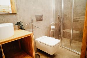 a bathroom with a shower and a toilet and a sink at Cases Altes de Posada in Navés