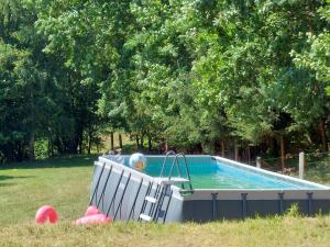 a pool in a yard with a ball in it at Ekolandia in Orneta