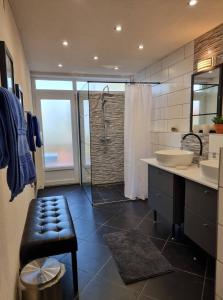 uma casa de banho com um chuveiro, um lavatório e um WC. em P10 Nyaraló em Magyarhertelend