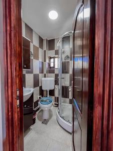 La salle de bains est pourvue de toilettes, d'un lavabo et d'une douche. dans l'établissement Casa BiaFlor, à Rucăr