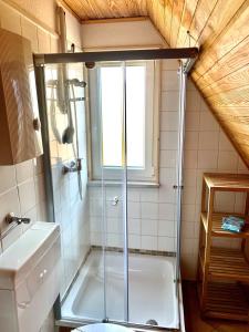 a bathroom with a shower and a toilet and a sink at Ferienhaus Busch in Bünsdorf