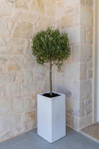 Fotografia z galérie ubytovania Sofia Suite, a seafront hideaway ! v destinácii Panormos Rethymno